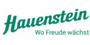 Hauenstein AG